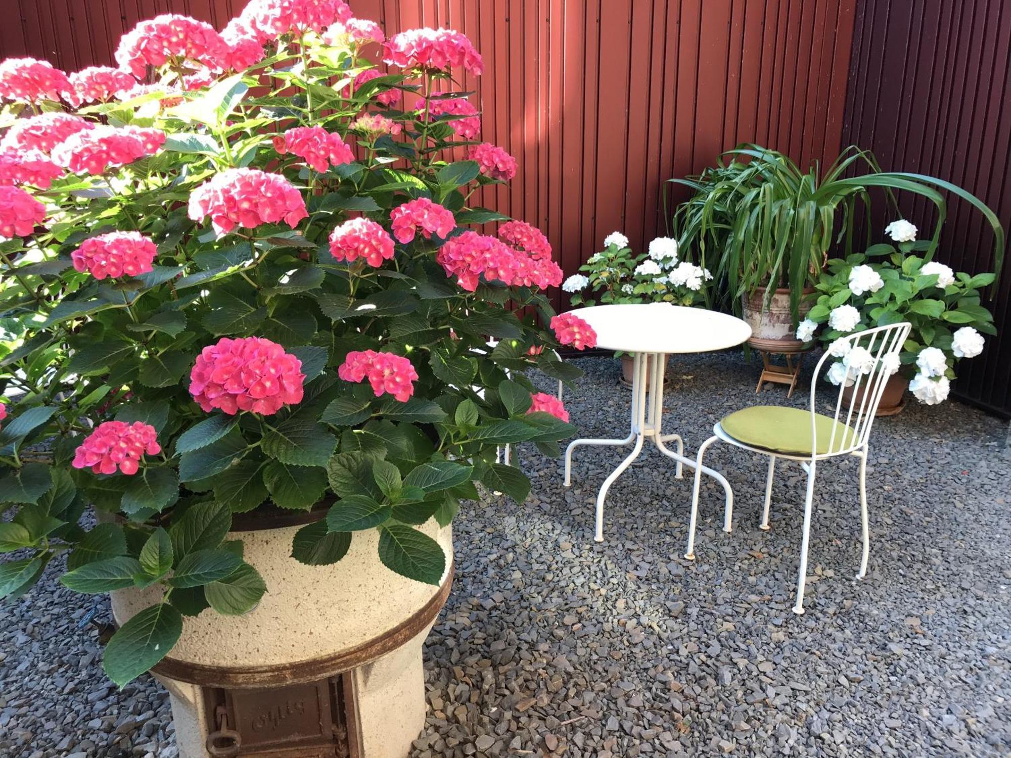 Hotel Alte Schreinerei Boutique